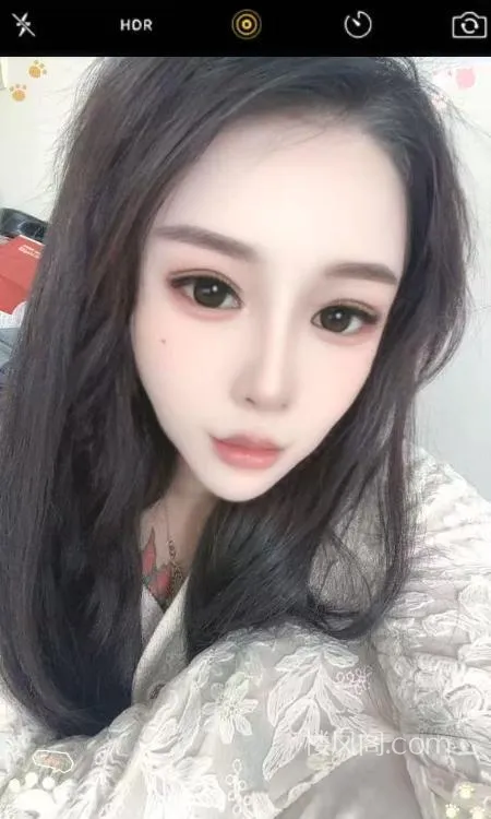 全国免费楼凤资源