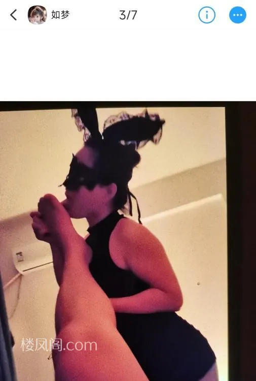 全国免费楼凤资源