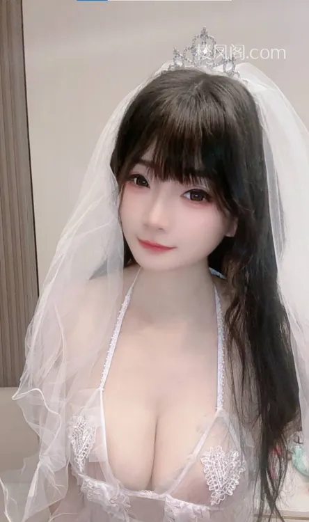 全国免费楼凤资源