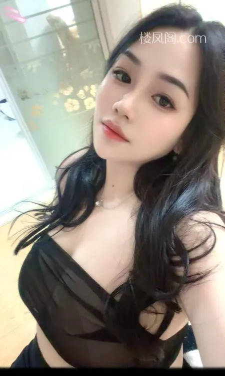 全国免费楼凤资源