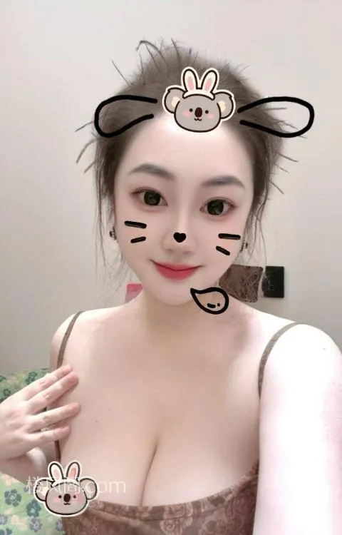 全国免费楼凤资源