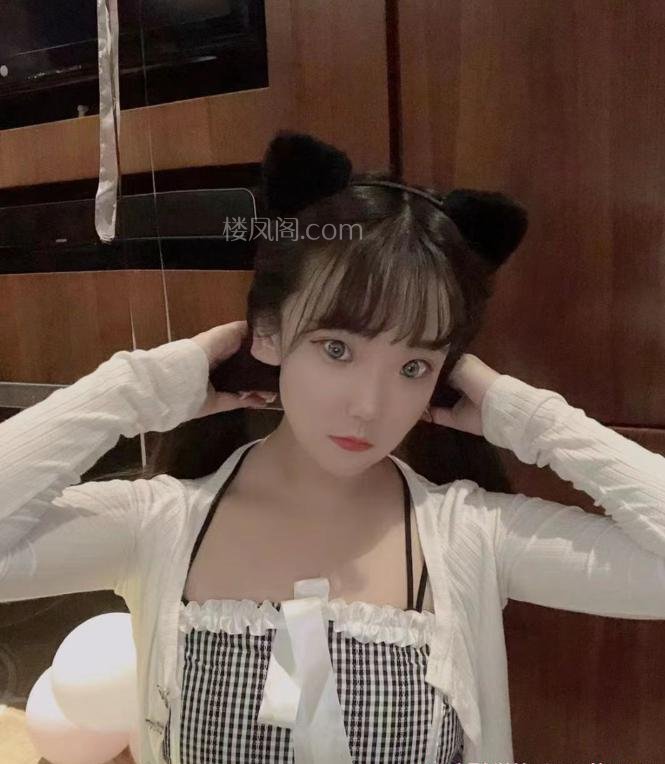 全国免费楼凤资源