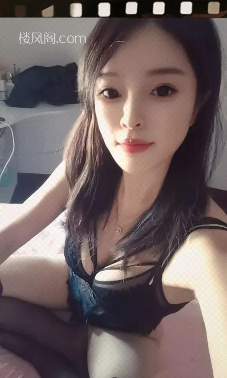 全国免费楼凤资源