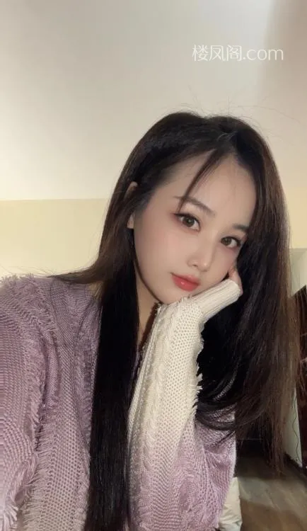 全国免费楼凤资源