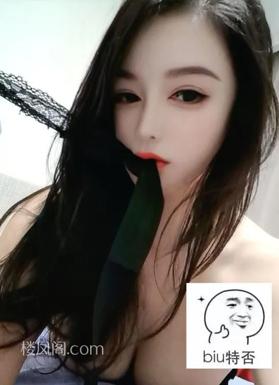 全国免费楼凤资源