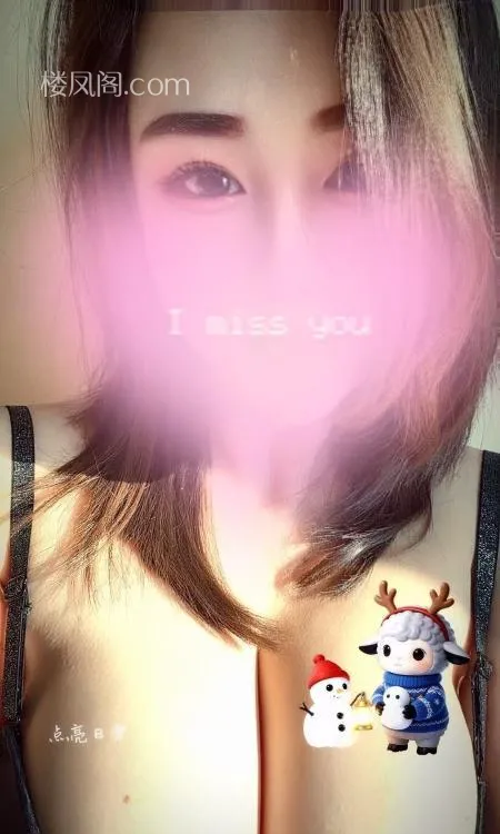 全国免费楼凤资源