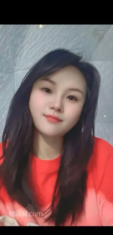 全国免费楼凤资源