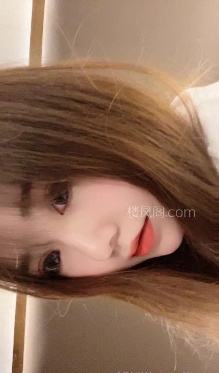 全国免费楼凤资源