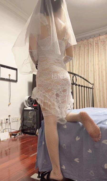 全国免费楼凤资源