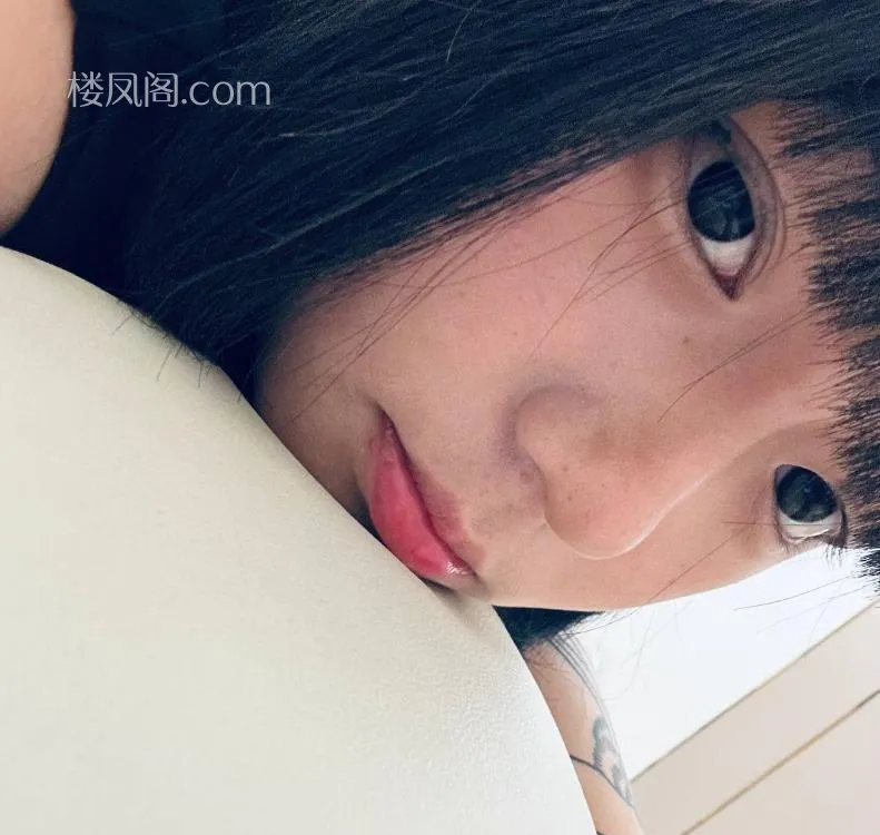 全国免费楼凤资源