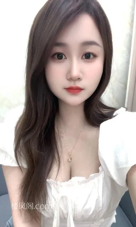 全国免费楼凤资源