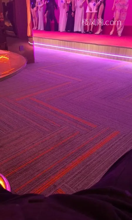 全国免费楼凤资源