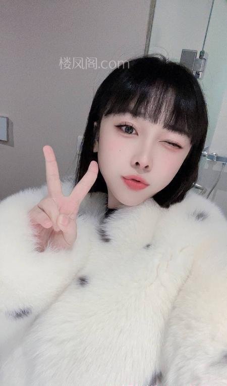 全国免费楼凤资源