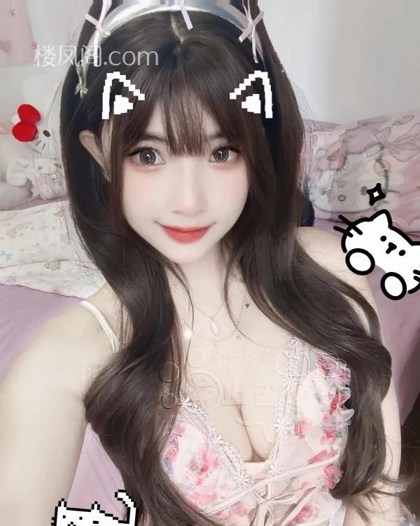 全国免费楼凤资源