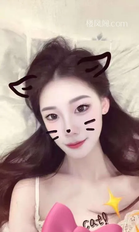 全国免费楼凤资源