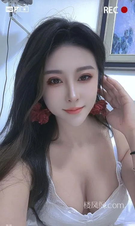 全国免费楼凤资源