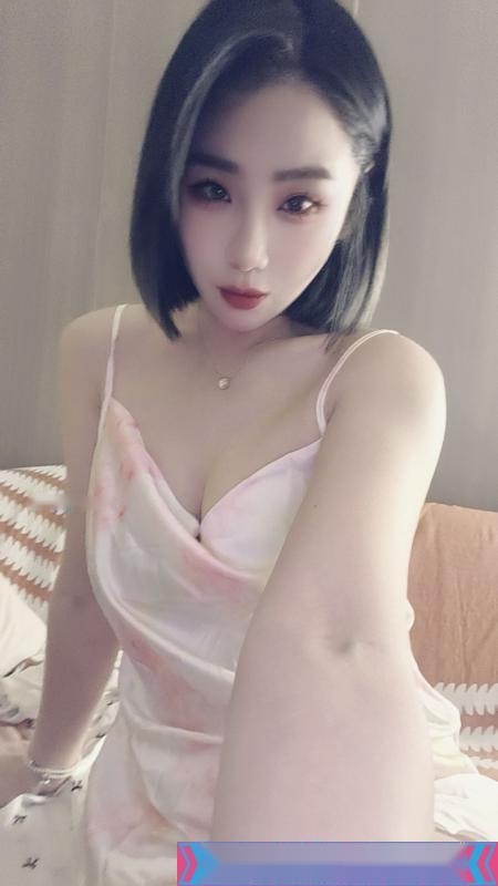 全国免费楼凤资源