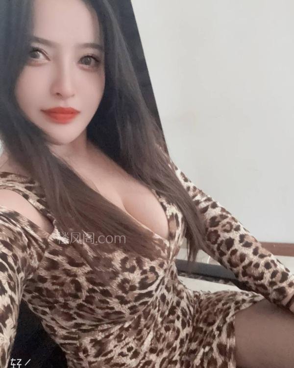 全国免费楼凤资源