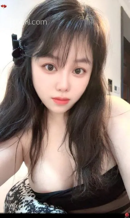 全国免费楼凤资源