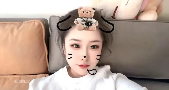 全国免费楼凤资源