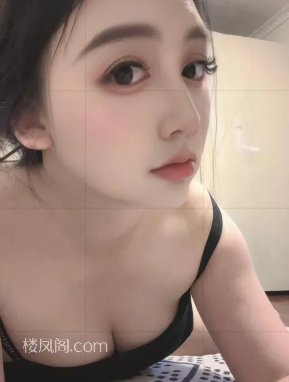 全国免费楼凤资源