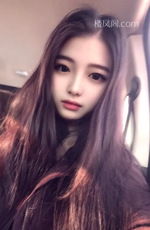 全国免费楼凤资源