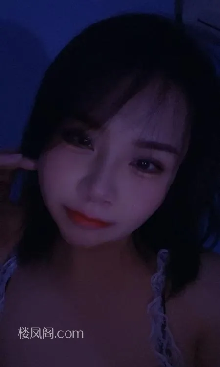 全国免费楼凤资源