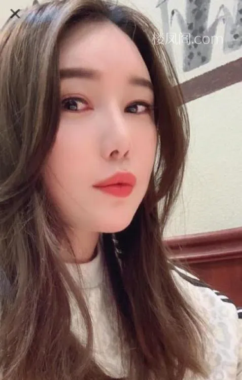 全国免费楼凤资源