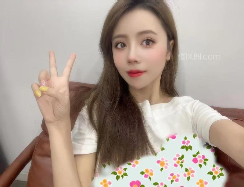 全国免费楼凤资源