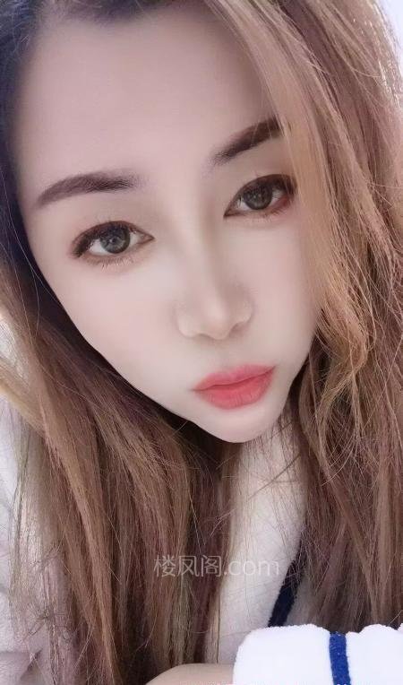 全国免费楼凤资源