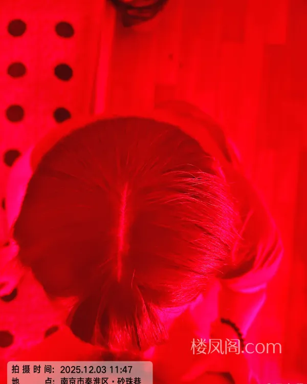 全国免费楼凤资源