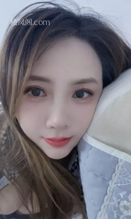 全国免费楼凤资源