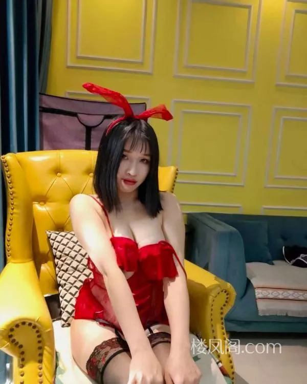 全国免费楼凤资源