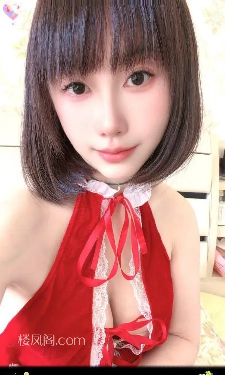 全国免费楼凤资源