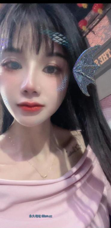 全国免费楼凤资源