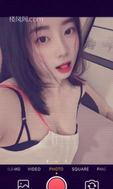 全国免费楼凤资源