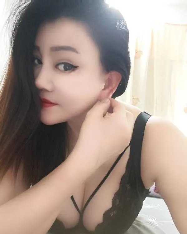 全国免费楼凤资源