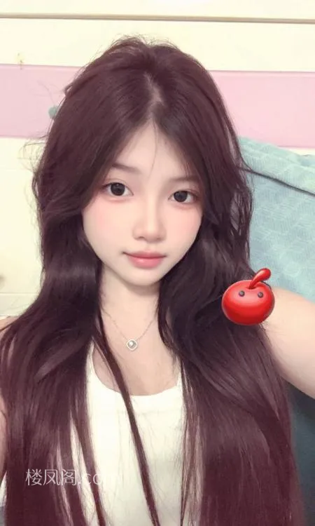 全国免费楼凤资源