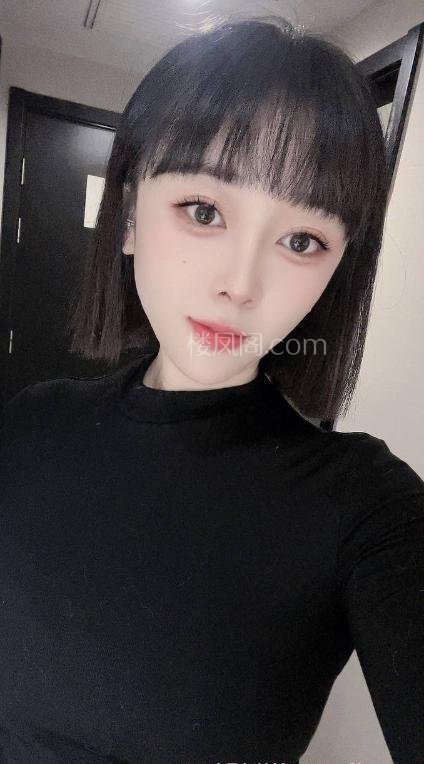 全国免费楼凤资源