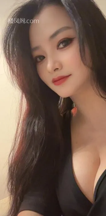 全国免费楼凤资源