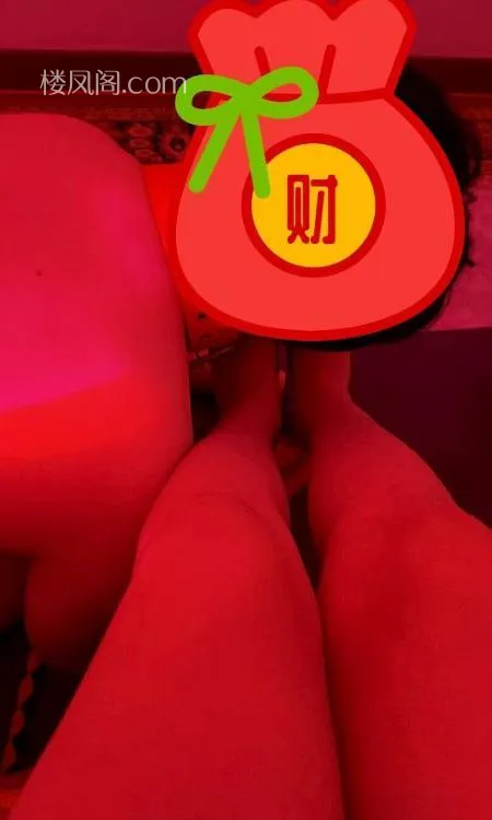 全国免费楼凤资源