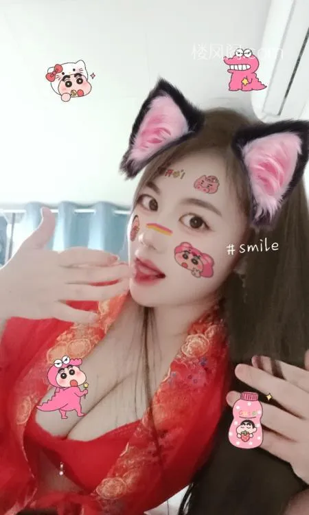 全国免费楼凤资源