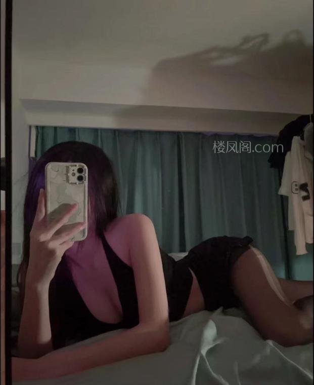 全国免费楼凤资源