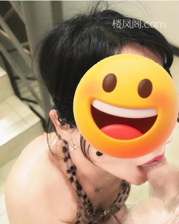 全国免费楼凤资源