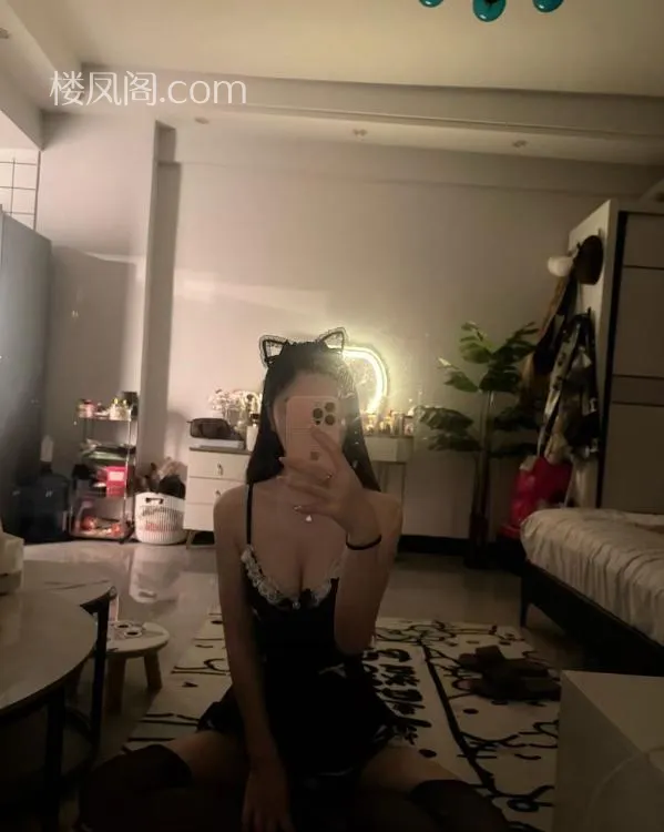 全国免费楼凤资源