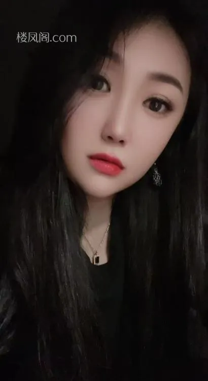 全国免费楼凤资源