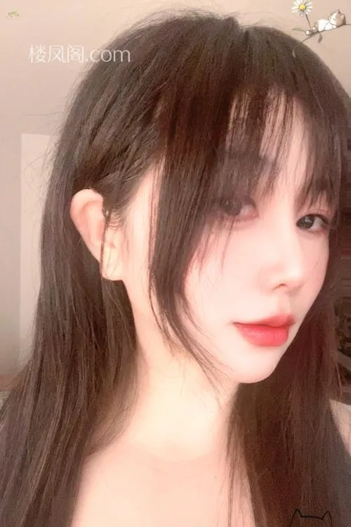 全国免费楼凤资源