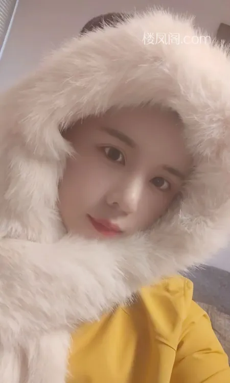 全国免费楼凤资源