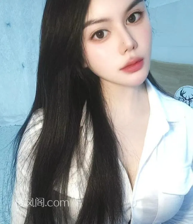 全国免费楼凤资源