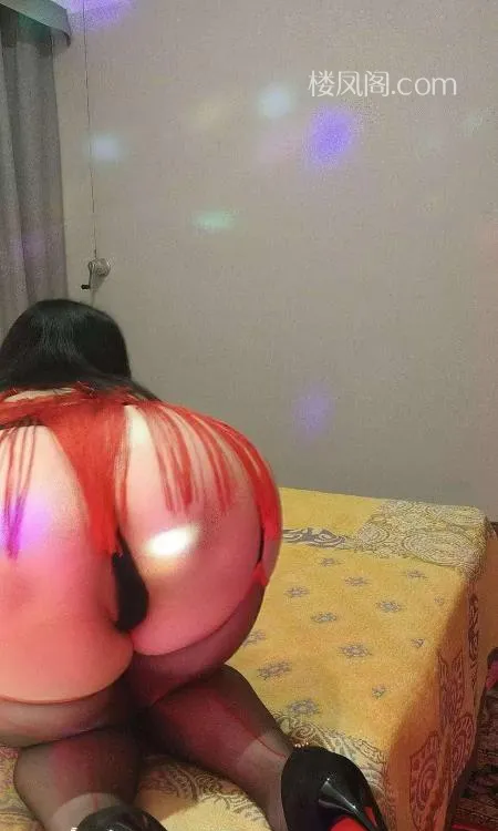 全国免费楼凤资源